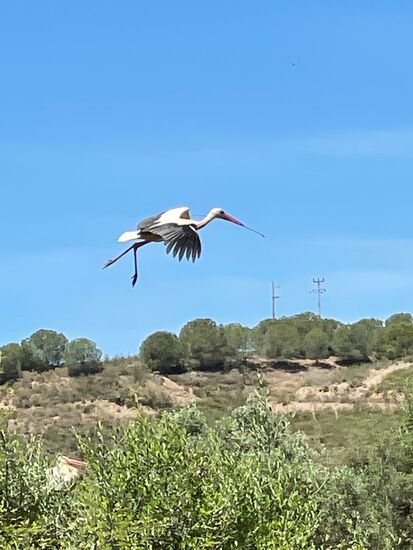 Einen Ort weiter ist kein einziger mehr....