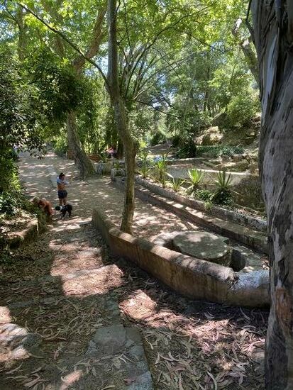 Familien machen hier im Schatten der Bäume Picknick