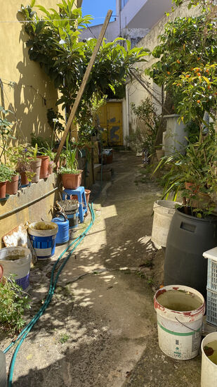 Kleine Gassen mit viiiielen Blumen...