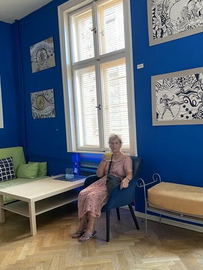 Es gibt zahlreiche selbstgemachte Limonaden