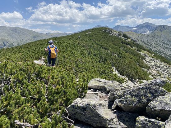 Diese angenehmen Wege sind nur kurz