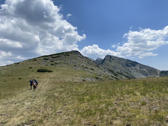 Auch dieser tolle Pfad dauert nur wenige Meter