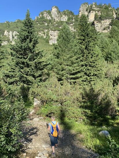 Die erste Stunde ist der Weg sehr moderat