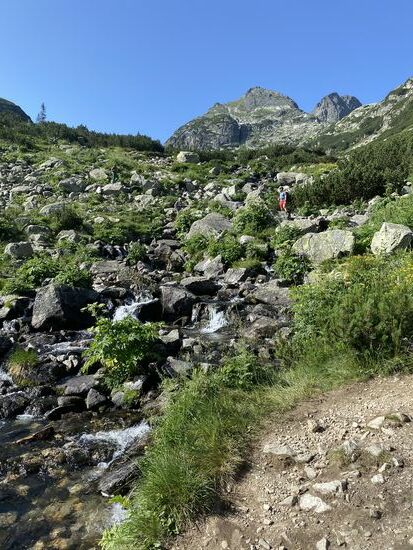 Jetzt wird es wieder steinig