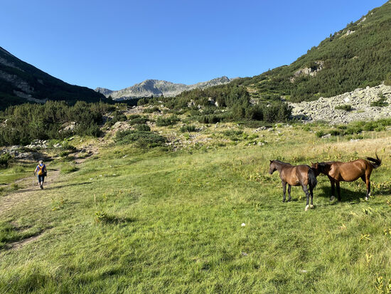 Ich berichte hier erstmal von unserer relativ entspannten Wanderung