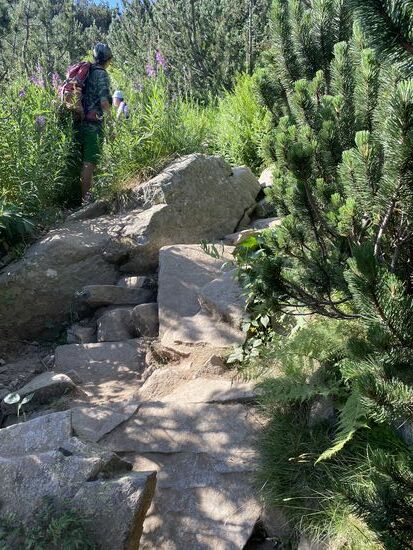 Wir müssen unsere geschundenen Knochen wieder über dicke Felssteine quälen