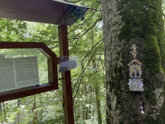 Wünschebaum—hier findet man Zettel und Stift um seine Wünsche aufzuschreiben und diese an den Baum zu stecken