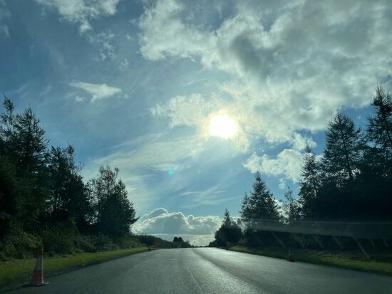 Nein- hier ist kein Harz-Foto reingerutscht..