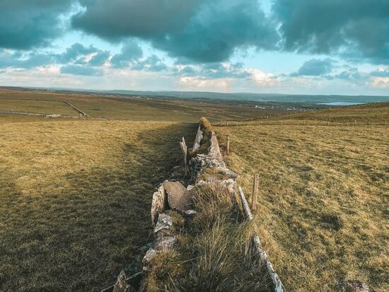Sie erfreuen uns mit einigen tollen Aufnahmen