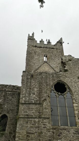 Aber es regnet auch in Strömen, sodass wir im Auto sitzen bleiben und die Männer sich allein nasse Füße holen