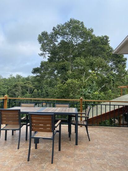 Hier sehen und hören wir noch einen großen Hornbill beim Frühstück 
Noch immer haben wir die ganze „Champundu Lodge“ für uns