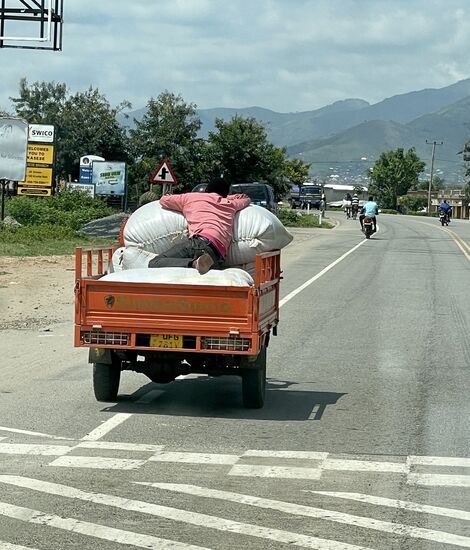 Der schläft da tatsächlich während der Fahrt