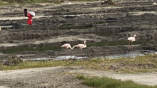 Am Salzsee wird gearbeitet…