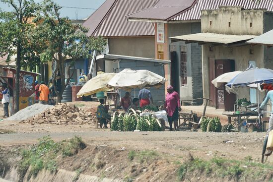 Bananen gibt es hier massenweise