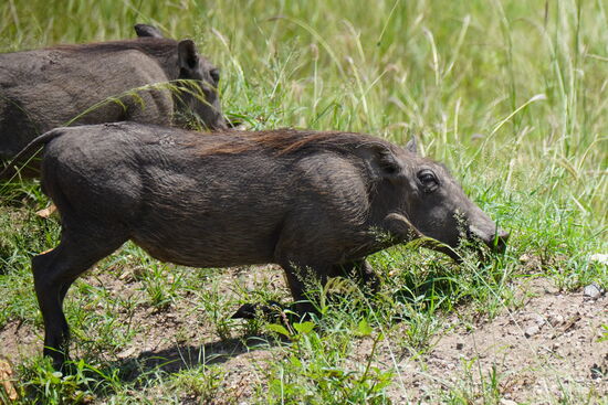 Mittags sind wir im Nationalpark