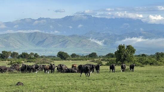 Hier ist die Landschaft besonders schön