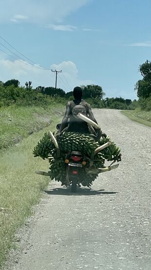 Babanentransport