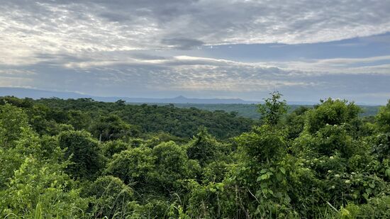 Um 10 Uhr erreichen wir schonmal gut durchgeschüttelt den „Katookye NP“