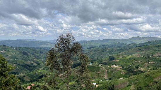 Weiter gehts durch die grüne Landschaft