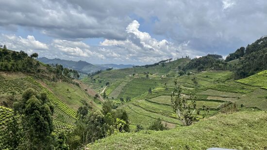 Die Straßen sind unglaublich schlecht. Wenn wir Glück haben, kann Arthur 40km/h fahren – die uns wie 100km/h vorkommen