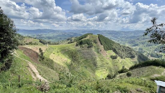 Oft nur Schritttempo, dabei werden wir durchgeschüttelt wie Schlenkerpuppen und so manches Mal landet der Kopf am Autodach