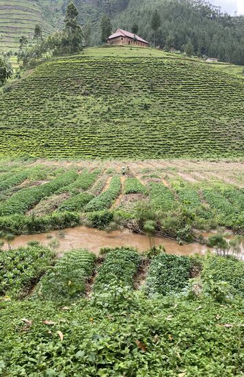 Die Rückfahrt ist kurz. Noch immer steht alles unter Wasser