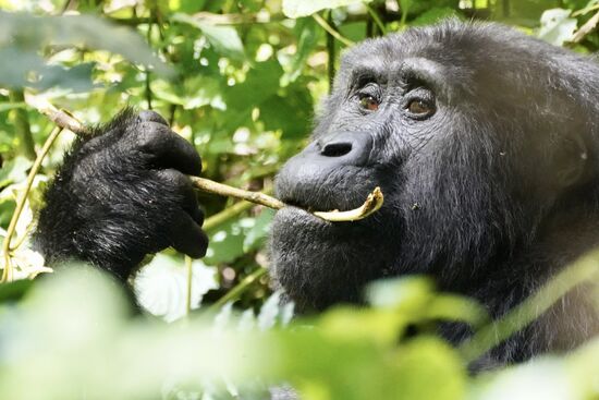 „Hallo Artgenosse“