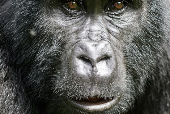 „Mal schauen wie lange Ihr meinem Blick standhaltet“