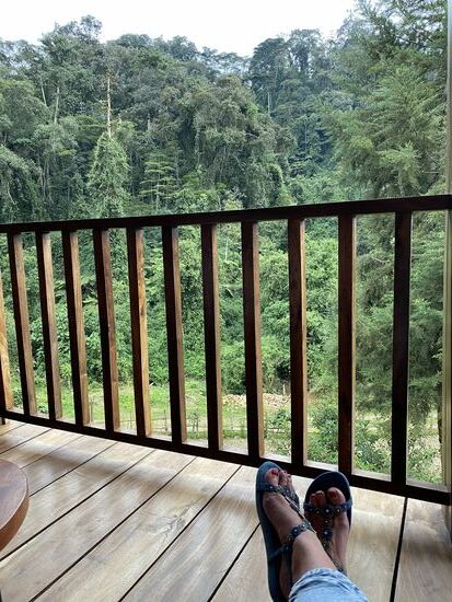 Guten Morgen von der Terrasse mit Blick auf den Dschungel