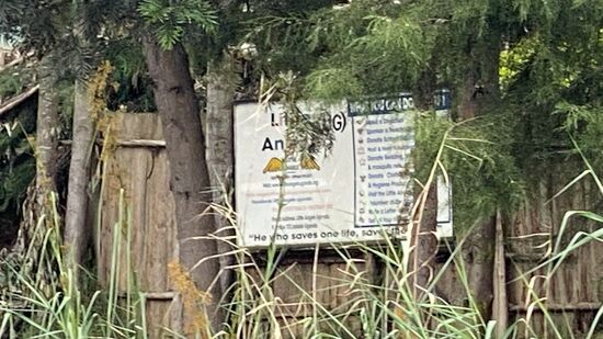 Das Waisenhaus heißt „Little Angels“