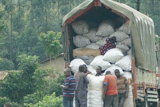 Zwischen den Säcken liegt einer…