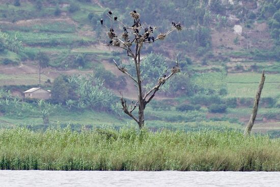 Das ist die kleine Insel Akampene—da hatten die Mädels nicht viel Platz und nur einen Baum