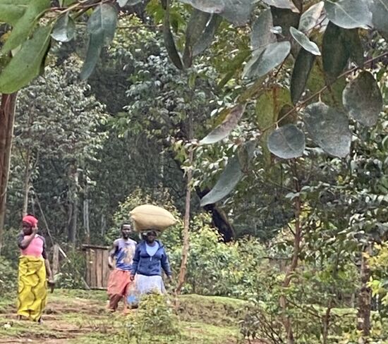 Die schleppen auch einiges—sie freuen sich, als ich sie mit einem fröhlichen „Agandi“ begrüße—das habe ich gerade gelernt, und es heißt so viel wie „hallo, wie gehts?“