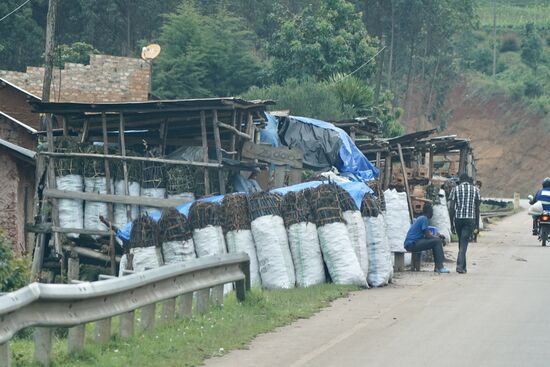 Brennholz wird gesammelt und verkauft—alles am Straßenrand