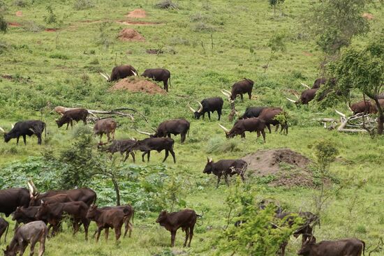 Wir brechen noch zum abendlichen „Game Drive“ auf