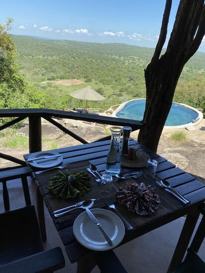 Man kann die Tiere am Wasserloch gut beobachten