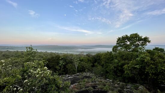 Good Morning Uganda. Unsere Reise neigt sich dem Ende. Heute stehen noch einmal Pirschfahrten an. Für Nachmittags haben wir eine Massage gebucht. Rebecca und (Co-)Rona sind Meisterinnen ihres Fachs.