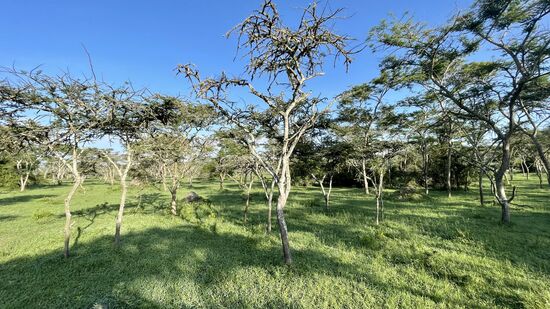 Wir drehen noch ein paar Runden und sehen alle Tiere noch mal