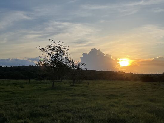 Mein Meister der Fotografie erwischt noch diesen schönen Sonnenuntergang 