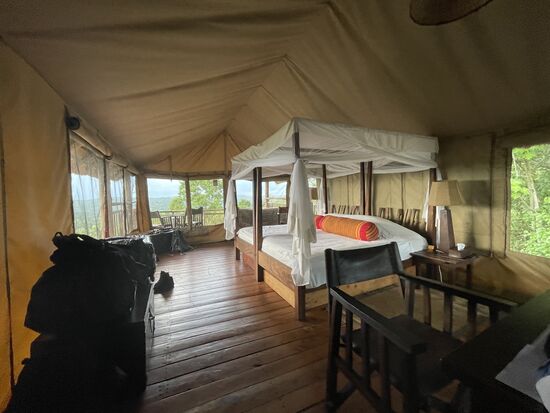 Alles sehr großzügig