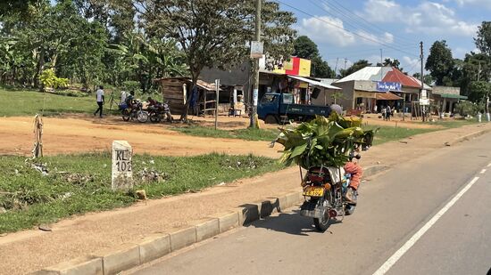 Bananen und Bananenblätter - aus den Blättern werden köstliche Soßen gekocht.