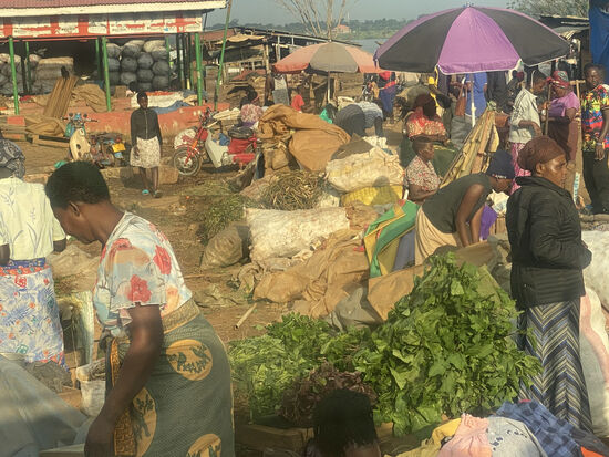 Auf dem Weg zum Anleger sehen wir schon mal Einiges vom afrikanischen Leben