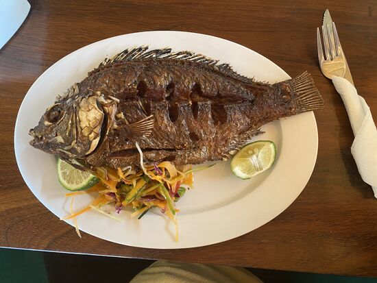 Zum Lunch gibt es Tilapia