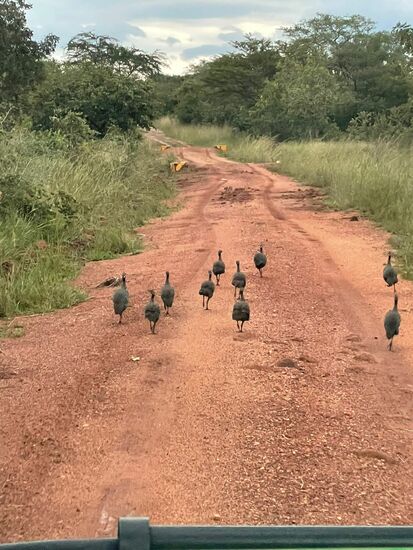 Hey—mach Platz da!!