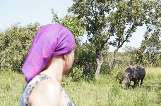 Rhinos können nicht gut sehen, sie verlassen sich auf ihren Geruchssinn und Gehör.
Sie fressen und suchen ihre Gruppe—wenn sie uns hören, denken sie, wir sind ihre Gruppe und kommen auf uns zu