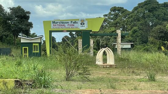 Da sind wir am Eingang des Parks—der 5000qm große „Murchinson Falls NP“ wurde 1952 zeitgleich mit dem „Queen Elisabeth Park“ gegründet