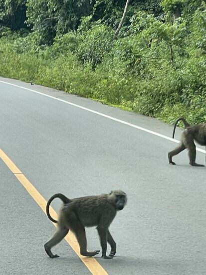 Endlich sehen wir meine Freunde…