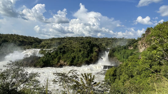 Die Wasserfälle sind gigantisch!
Bei Wasserfällen leben keine Tiere außer Affen—Die meisten Tiere mögen kein hohes Gras, da es weniger Wasser enthält
