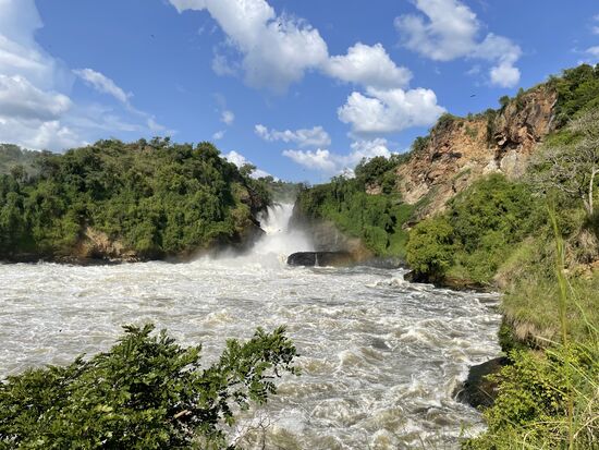 Wir treiben auf und ab durch „Budongo Forest“