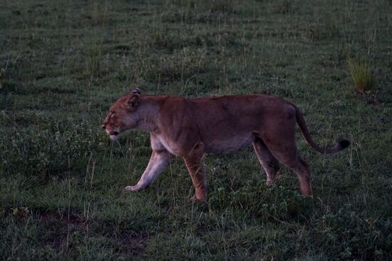 Es ist schon sehr dunkel
